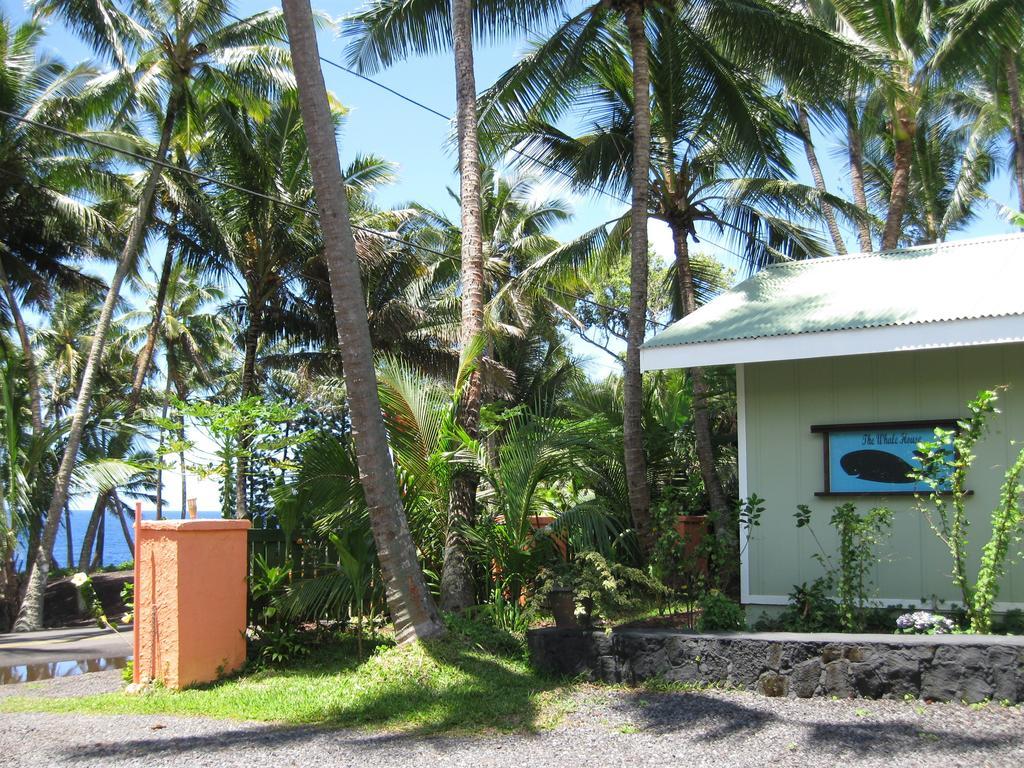 Whale House At Kehena Beach Pahoa Phòng bức ảnh