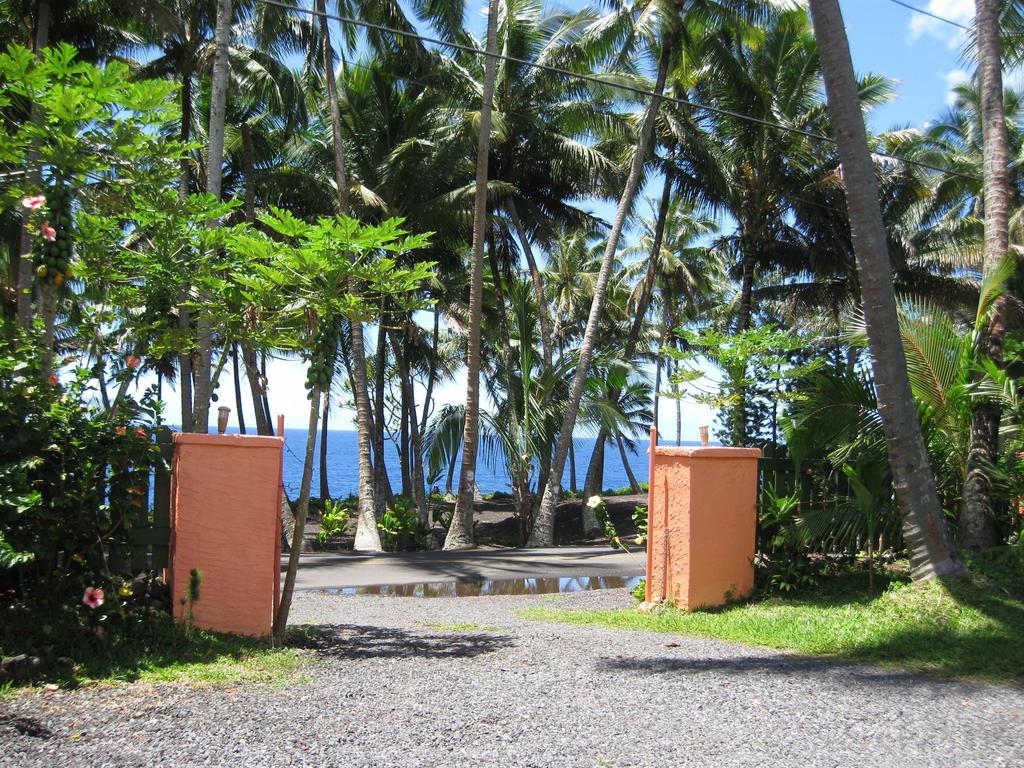 Whale House At Kehena Beach Pahoa Phòng bức ảnh