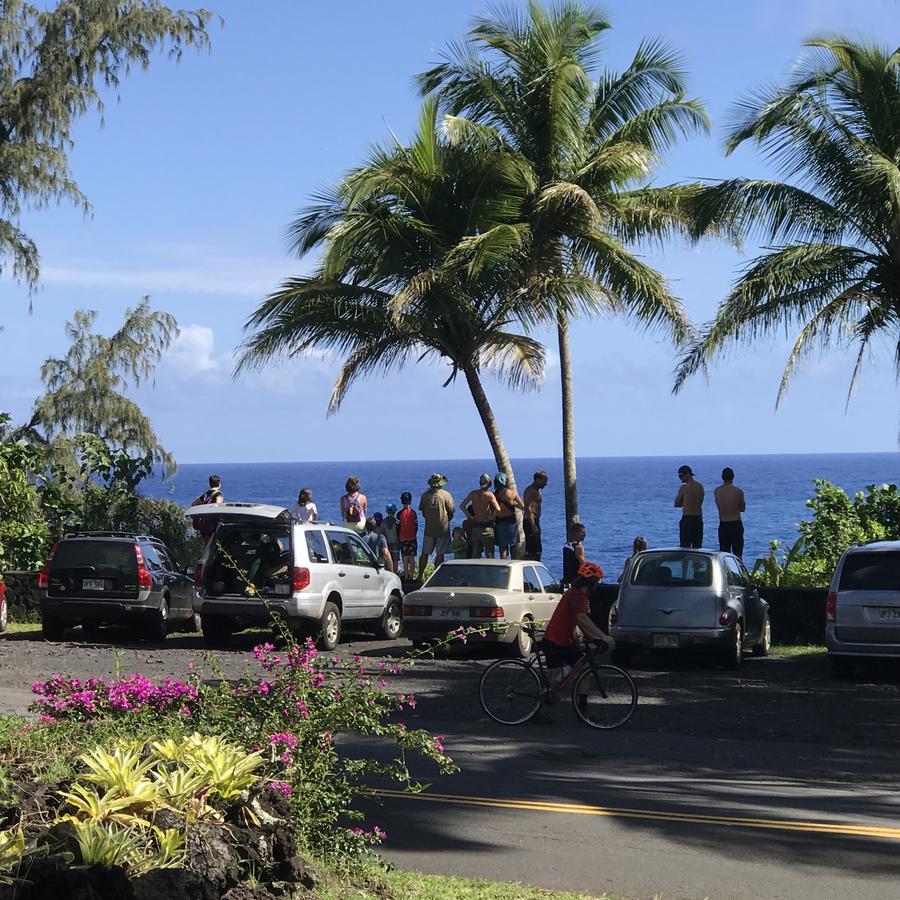 Whale House At Kehena Beach Pahoa Ngoại thất bức ảnh