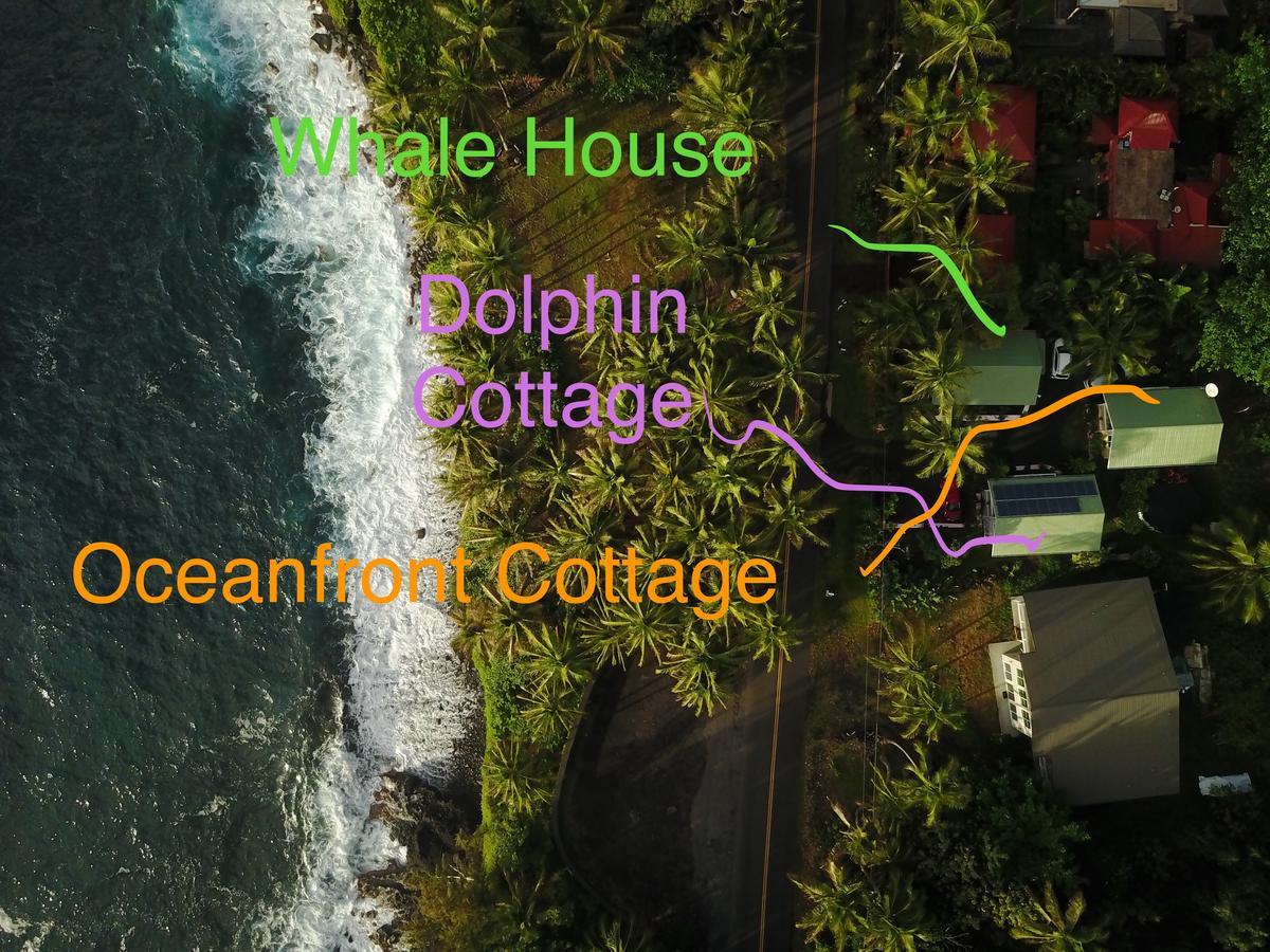 Whale House At Kehena Beach Pahoa Ngoại thất bức ảnh